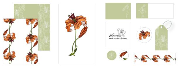 一套印有百合花的明信片图片下载