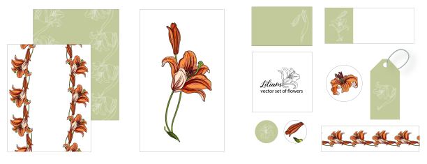 一套印有百合花的明信片图片下载