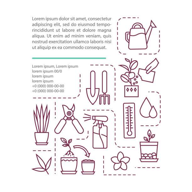 室内园艺工具概念图标与文字。排水、施肥、种植。修剪工具,喷雾瓶。PPT页面矢量模板。宣传册，杂志，小册子设计元素与线性插图图片下载