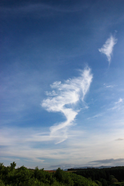 日落时天空和树木的剪影，别了图片下载