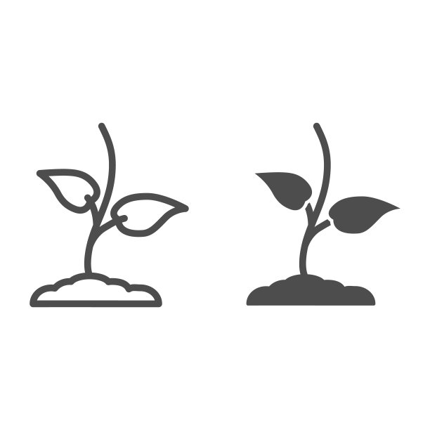 小芽与第一叶线和固体图标，春天的概念，苗木标志在白色的背景，发芽生长在土壤图标在轮廓风格的移动概念和网页设计。矢量图形。图片下载