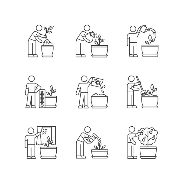 室内园艺阶段像素完美的线性图标集。报告中。施肥。传播的花。可自定义细线轮廓符号。孤立矢量大纲插图。可编辑的中风图片下载