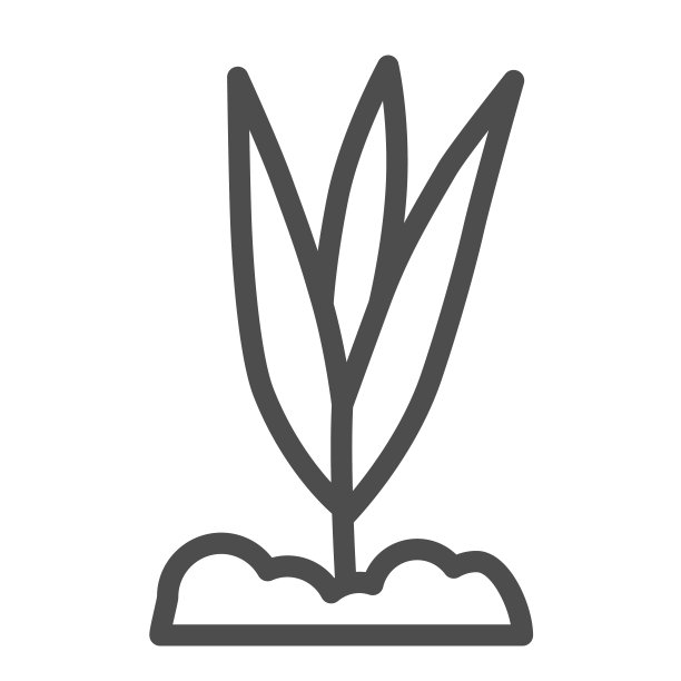 幼苗生长线性图标，春季概念，带叶子的小植物白色背景符号，轮廓风格的土壤植物生长图标，适用于移动和网页设计。矢量图形图片下载
