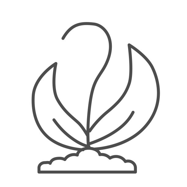带叶小苗细线图标：自然概念，土壤园艺植物符号图片下载