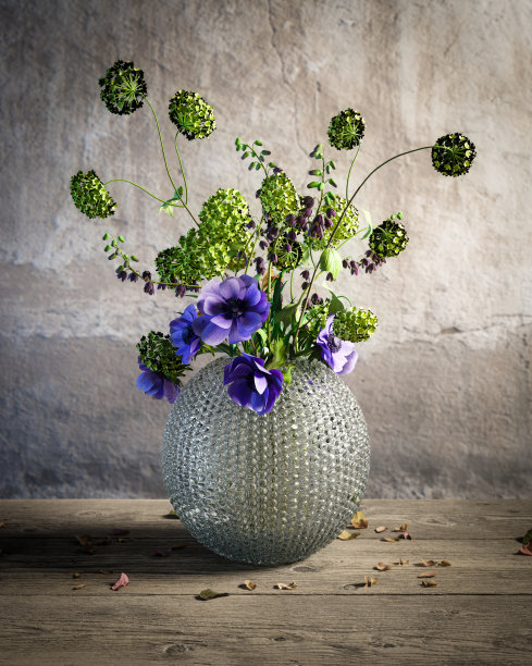 荚莲属的植物海葵图片下载