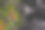 辣椒在创造性的深色背景图片下载