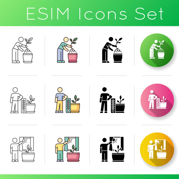 室内植物护理图标集。室内园艺的步骤。报告中。把花暴露在阳光下。线性，黑色和RGB颜色样式。线性黑色和RGB颜色样式。孤立的矢量插图图片下载