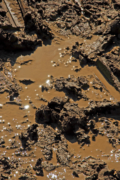有趣的泥浆背景。泥泞的土壤质地。图片下载