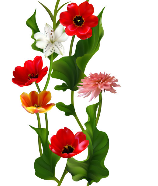 花。无缝模式。花的背景。红色郁金香。大丽花。白色的百合。绿色的树叶。茎。垂直的。白色背景。图片下载