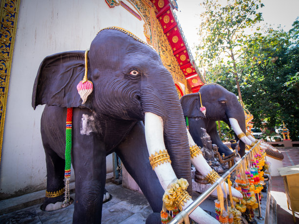 站在教堂前的战争大象雕像图片下载