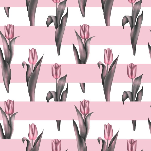 无缝条纹图案与粉红色郁金香图片下载