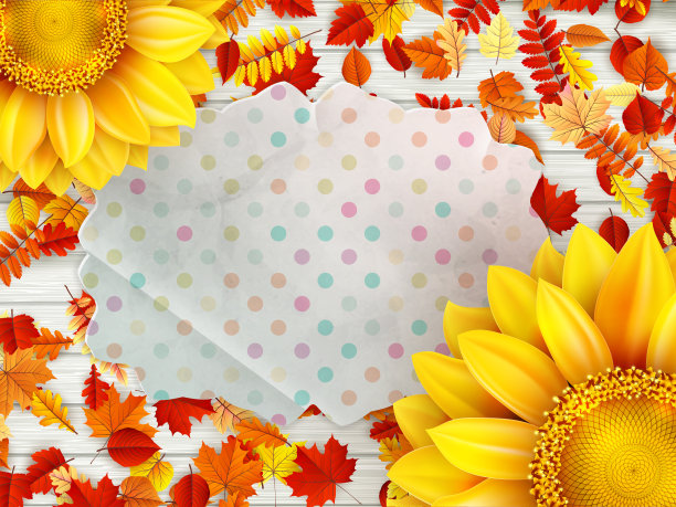 框架与花，坚果和蘑菇。每股收益10图片下载