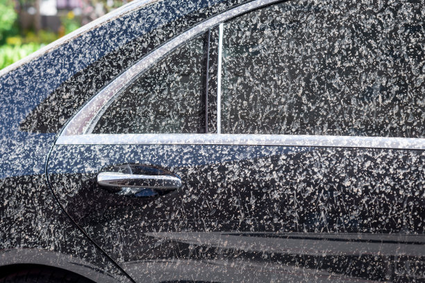 汽车挡风玻璃上沾满了极脏的灰尘，雨后的空气是如此的肮脏图片下载