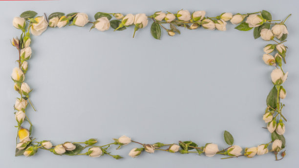 花帧背景。图片下载