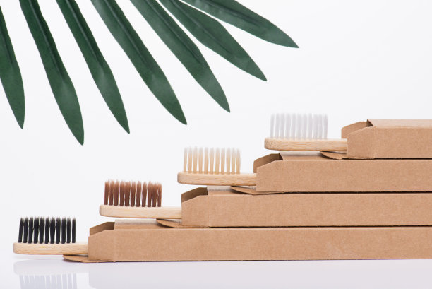 零浪费牙科概念。近景侧面侧面的照片，环保的现代新鲜牙刷在包装孤立的白色背景与一些绿叶图片下载