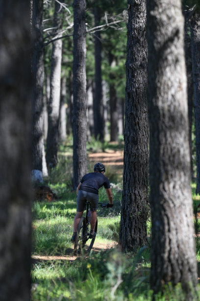 一个骑自行车穿过森林的人。图片下载
