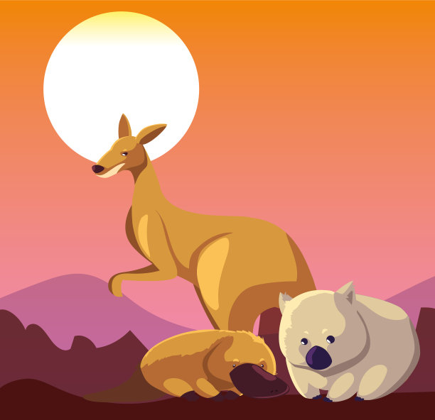 可爱的卡片与动物澳大利亚图片下载