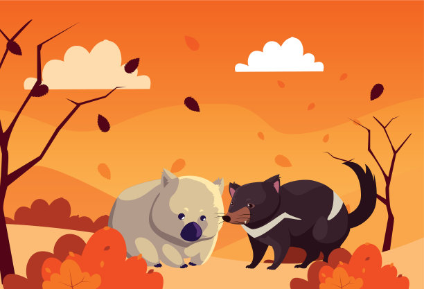 可爱的卡片与动物澳大利亚图片下载