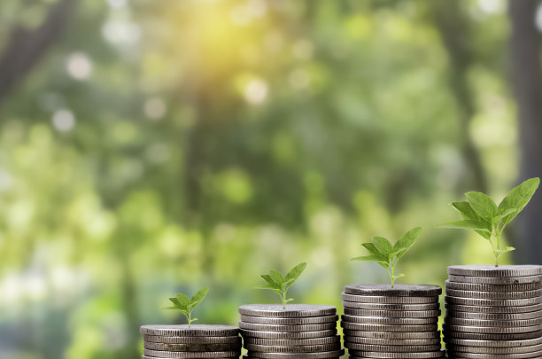 储蓄和投资的想法，人的手指触摸排列着银币的灯泡，树木生长在成堆的硬币在自然背景。储蓄、会计和财务概念。图片下载