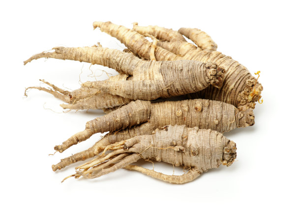 紫茎泽兰根的特写图片下载