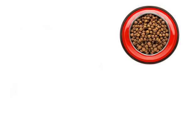 白色背景上的宠物干粮红碗，狗粮概念，顶视图，复制空间图片下载