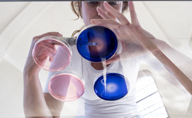 实验室实验图片下载