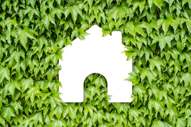 绿叶中的图标图片下载