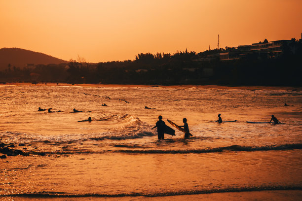 人们在海滩上游泳和冲浪的剪影图片下载