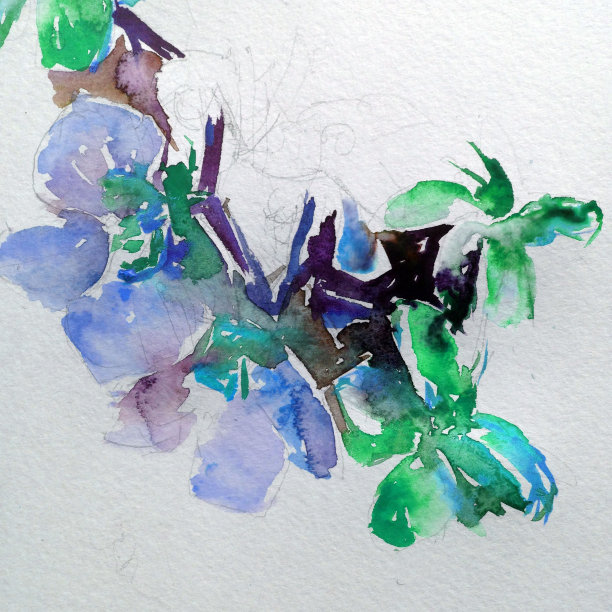 抽象鲜艳的装饰背景。手工花卉图案。美丽温柔浪漫的兰花花束图片下载