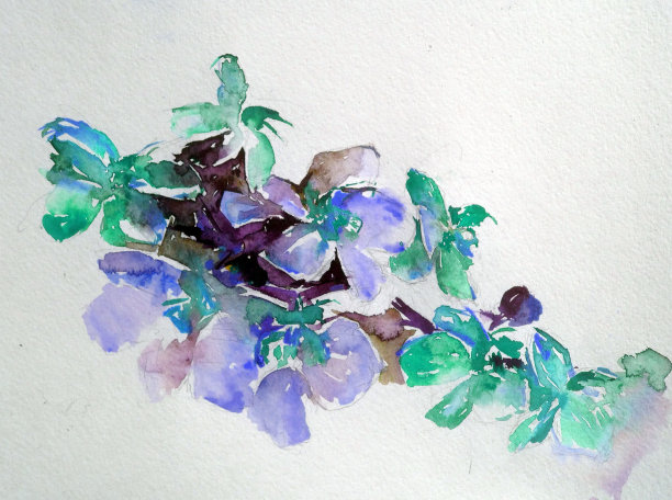 抽象鲜艳的装饰背景。手工花卉图案。美丽温柔浪漫的兰花花束图片下载