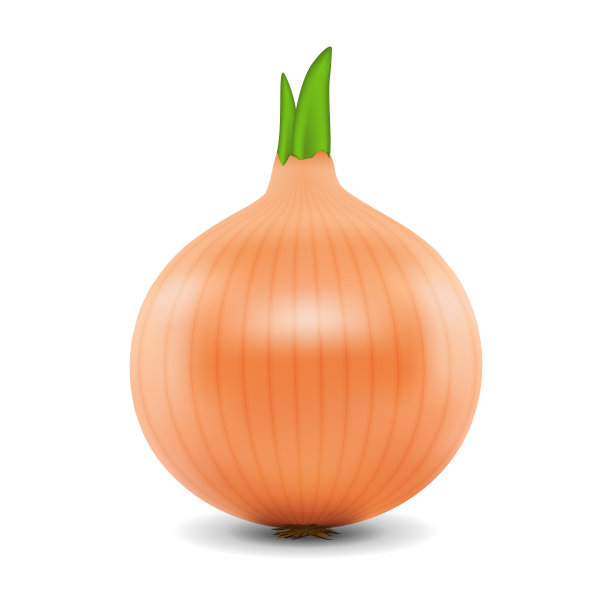 新鲜洋葱孤立图片下载