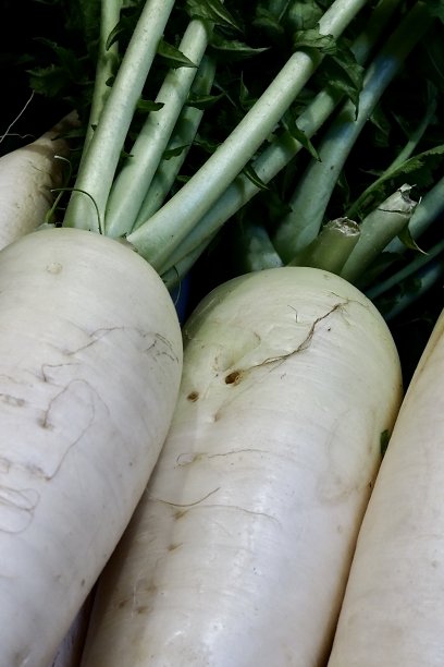 白萝卜存量照片图片下载