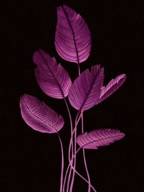 水彩插图。植物剪纸艺术。套绿叶，草本，树枝。花的设计元素。理想的贺卡，婚礼请柬，海报，博客图片下载