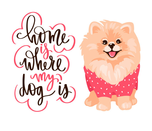 博美犬幼犬被隔离在白色背景上。图片下载