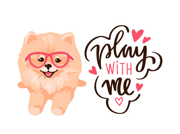 博美犬幼犬被隔离在白色背景上。图片下载