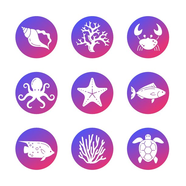 海洋生命图片下载