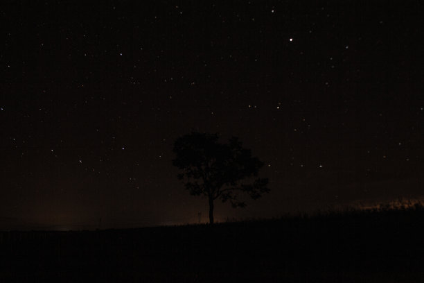 巴西大草原上的星空图片下载