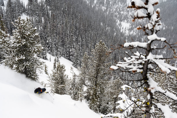 在山上滑雪的人图片下载