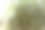 入口的钢化玻璃和锻铁图片下载