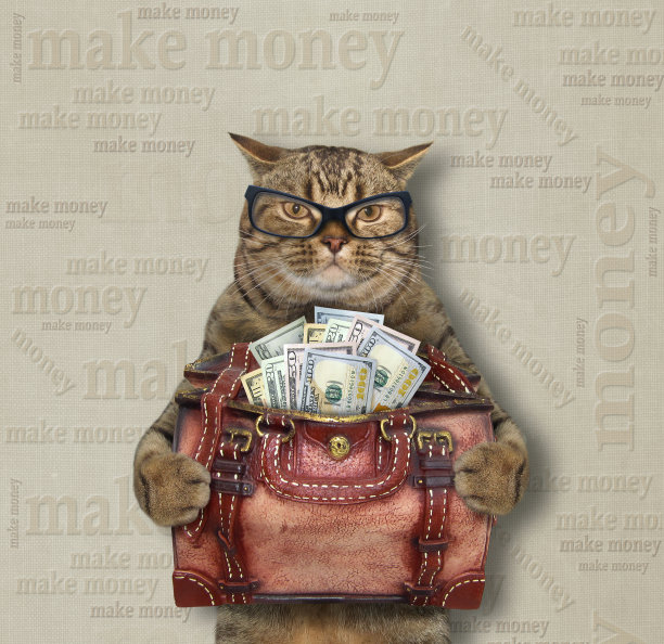 猫拿着装满钱的袋子图片下载