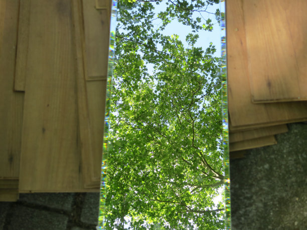 镜子倒映着树木和街道上的垃圾图片下载