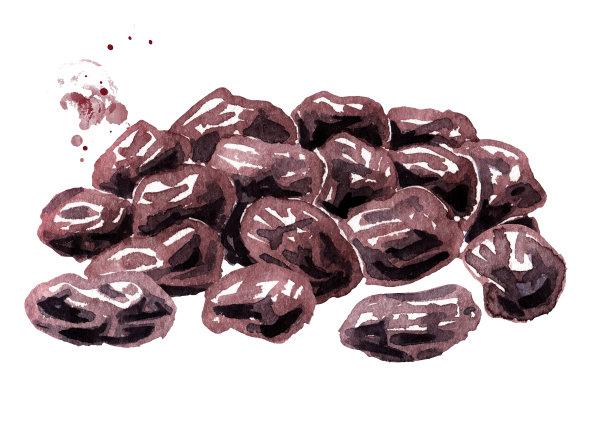 一堆干黑葡萄干。手绘水彩插图孤立的白色背景图片下载