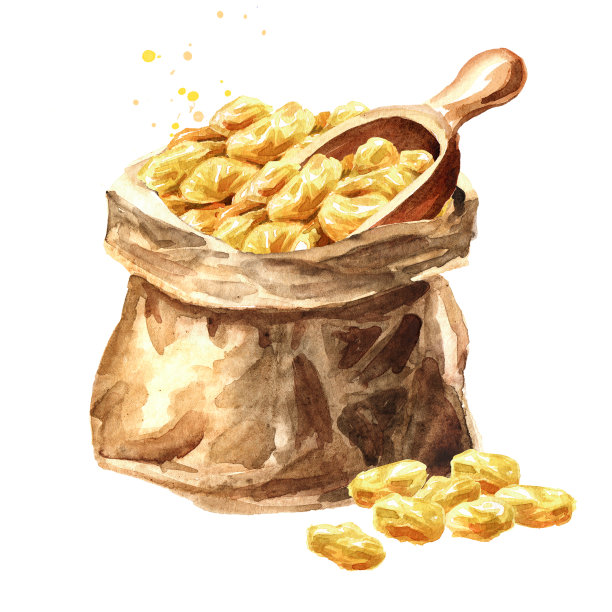 纸袋里的金葡萄干。手绘水彩插图孤立的白色背景图片下载