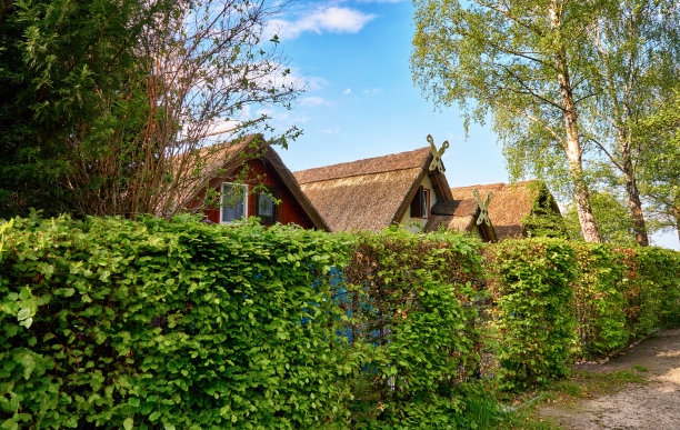 几座有茅草屋顶和绿色树篱的船坞。图片下载