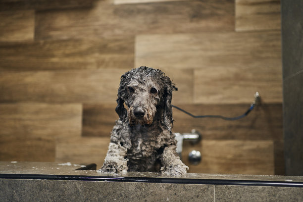 可爱的和干净的图片下载