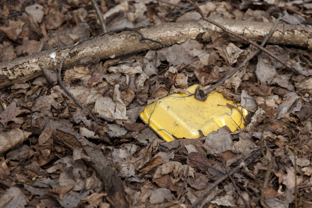 大自然中长期腐烂的废物。废弃的包装泡沫托盘早已躺在森林的地上图片下载
