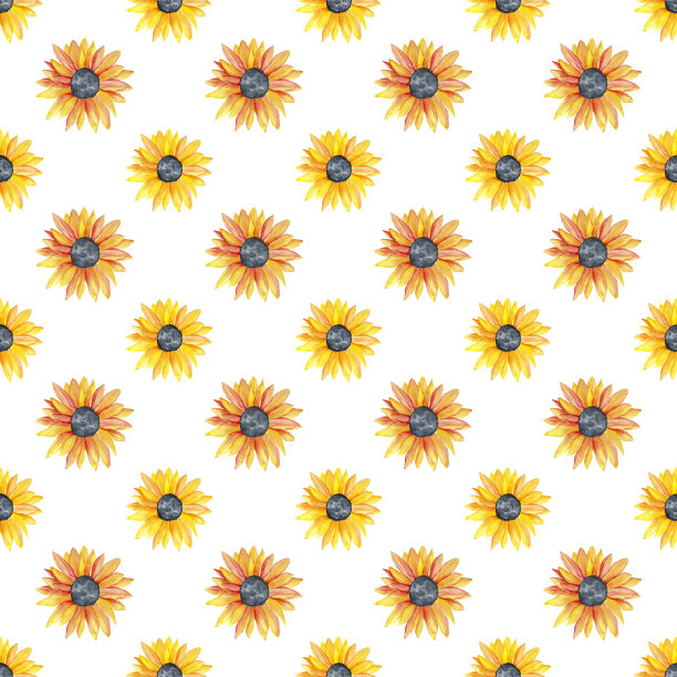 水彩无缝模式与黄色向日葵在白色的背景。手绘插图。图片下载