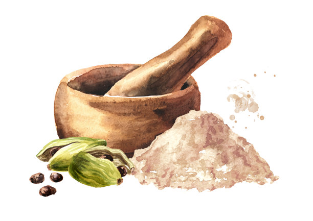 小豆蔻粉和豆荚研钵，超级食品和印度香料。手绘水彩插图孤立的白色背景图片下载