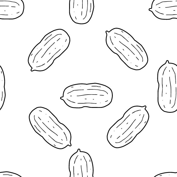 模式花生图片下载