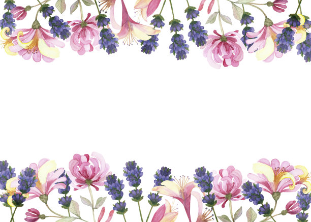 水彩手绘自然花卉横幅框架与粉红色金银花和紫色薰衣草花束在白色的背景邀请和问候卡与文字的空间图片下载
